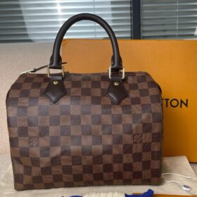 Louis Vuitton Damier SPEEDY 25 N41181 photo review