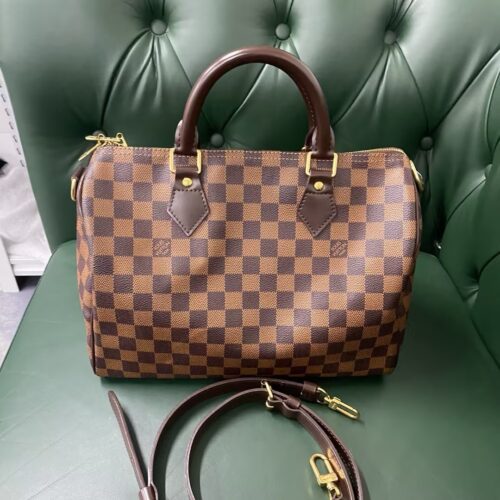 Louis Vuitton Damier SPEEDY 25 N41181 photo review