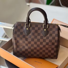 Louis Vuitton Damier SPEEDY 25 N41181 photo review