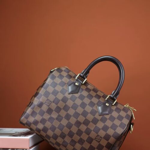 Louis Vuitton Damier SPEEDY 25 N41181 photo review