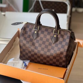 Louis Vuitton Damier SPEEDY 25 N41181 photo review