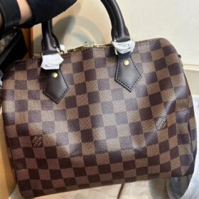 Louis Vuitton Damier SPEEDY 25 N41181 photo review