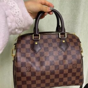 Louis Vuitton Damier SPEEDY 25 N41181 photo review