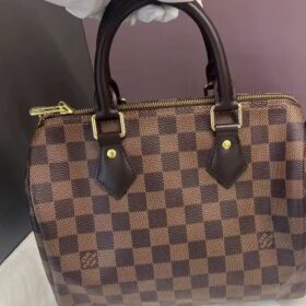 Louis Vuitton Damier SPEEDY 25 N41181 photo review