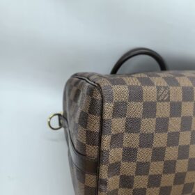Louis Vuitton Damier SPEEDY 25 N41181 photo review