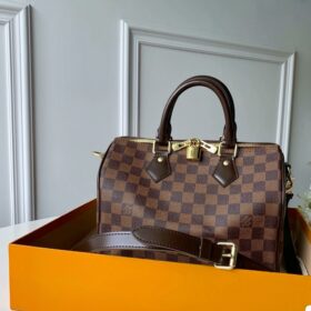 Louis Vuitton Damier SPEEDY 25 N41181 photo review