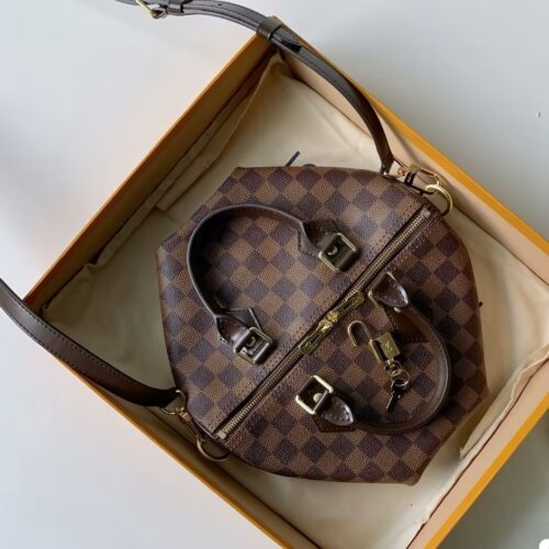 Louis Vuitton Damier SPEEDY 25 N41181 photo review