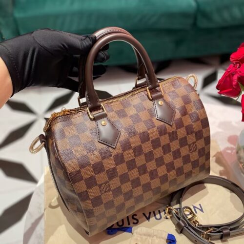 Louis Vuitton Damier SPEEDY 25 N41181 photo review