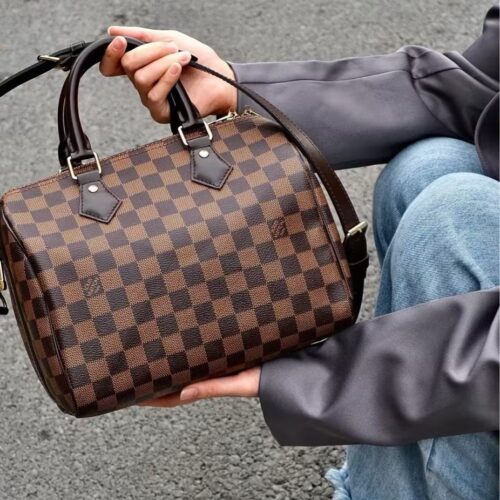 Louis Vuitton Damier SPEEDY 25 N41181 photo review