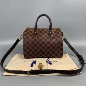 Louis Vuitton Damier SPEEDY 25 N41181 photo review